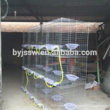 Pigeon Quail Battery Cage with Auto Water System